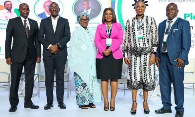 Financial Inclusion Advancement