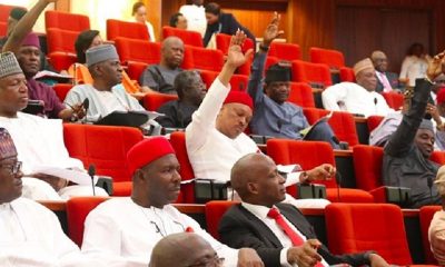 south east senators